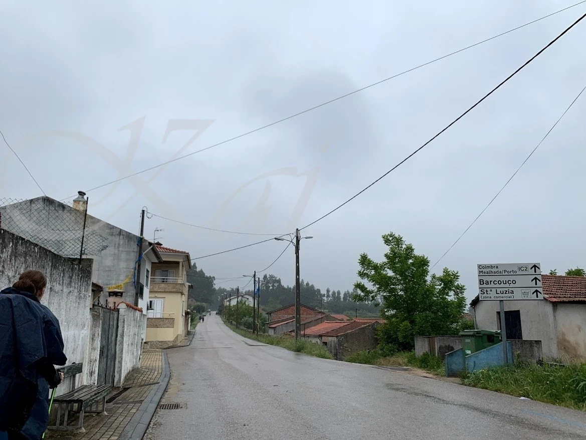 1_08dUd018svcmky56jf3tmha_wocx9r.jpg?type=e1920_std