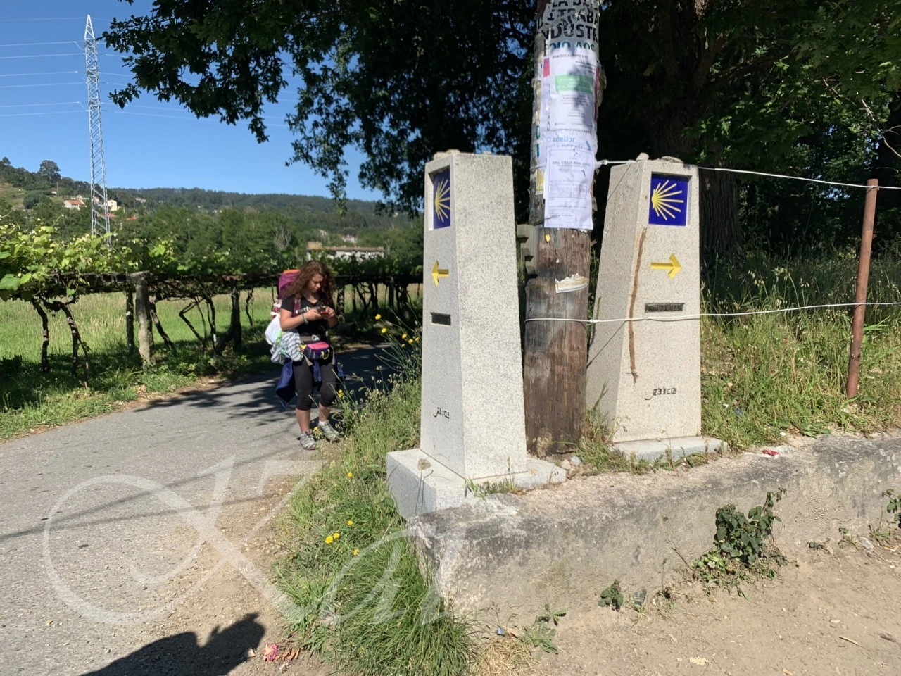 6_cd3Ud018svcewjwe4ai8sd2_wocx9r.png?type=e1920_std