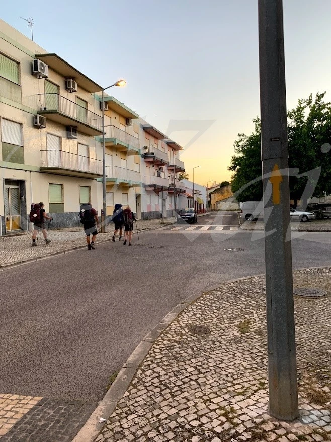 b_ac7Ud018svc1hcchgm5x3cem_wocx9r.jpg?type=e1920_std