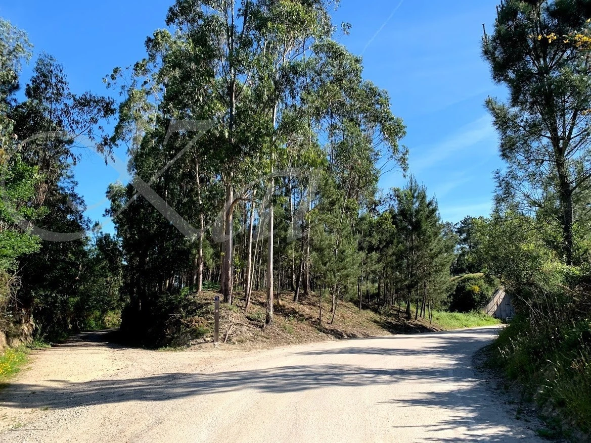 7_h65Ud018svc118skcelkun0e_wocx9r.jpg?type=e1920_std