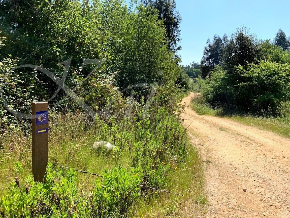 ReT-V7SVZrmaUpDZFATM5Jjzh2Q