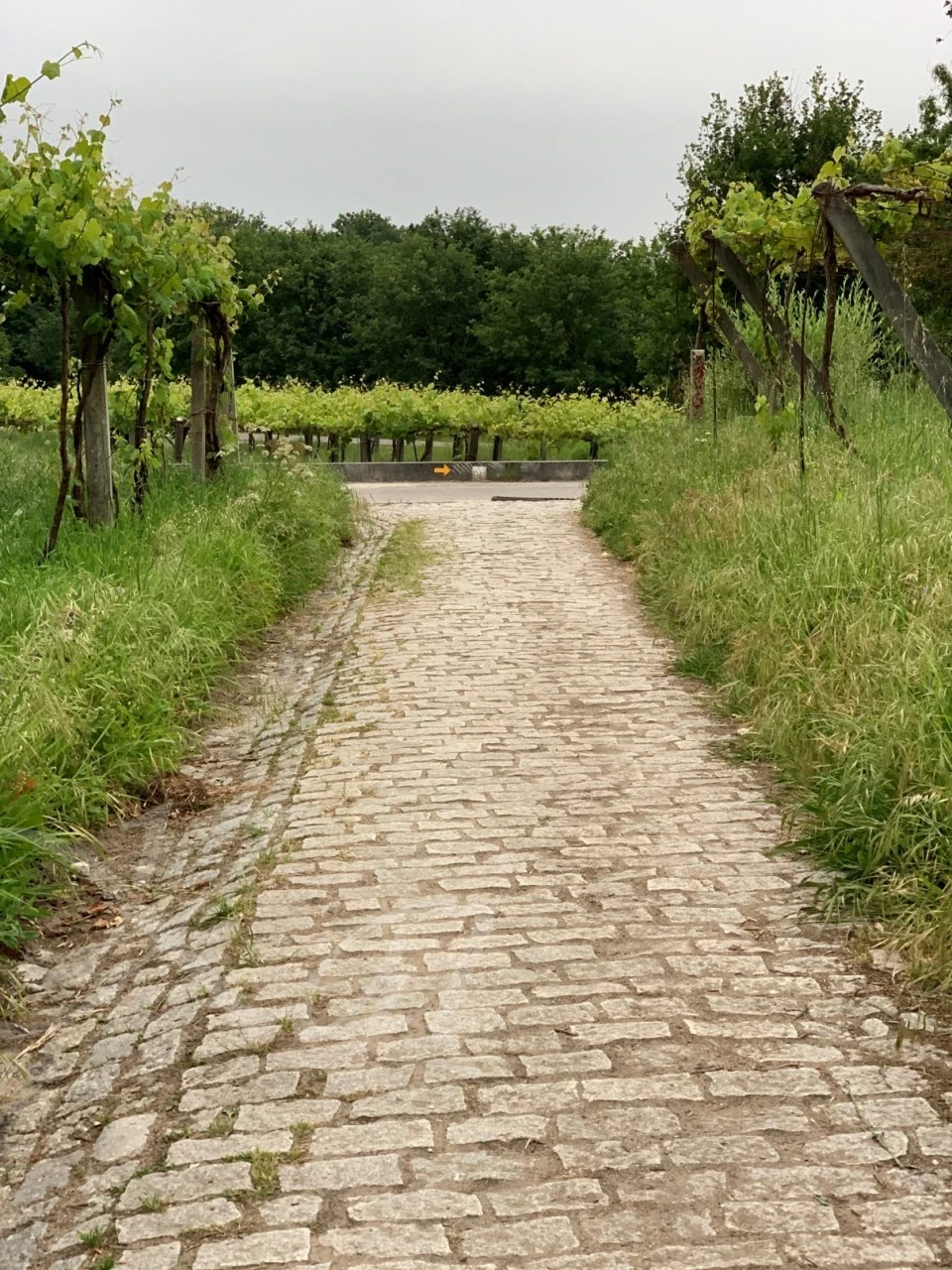 a_i6cUd018svclj12en0ggfog_wocx9r.jpg?type=e1920_std