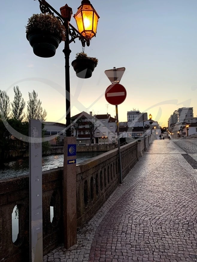 b_5c7Ud018svc16nqhgluv0y9a_wocx9r.jpg?type=e1920_std