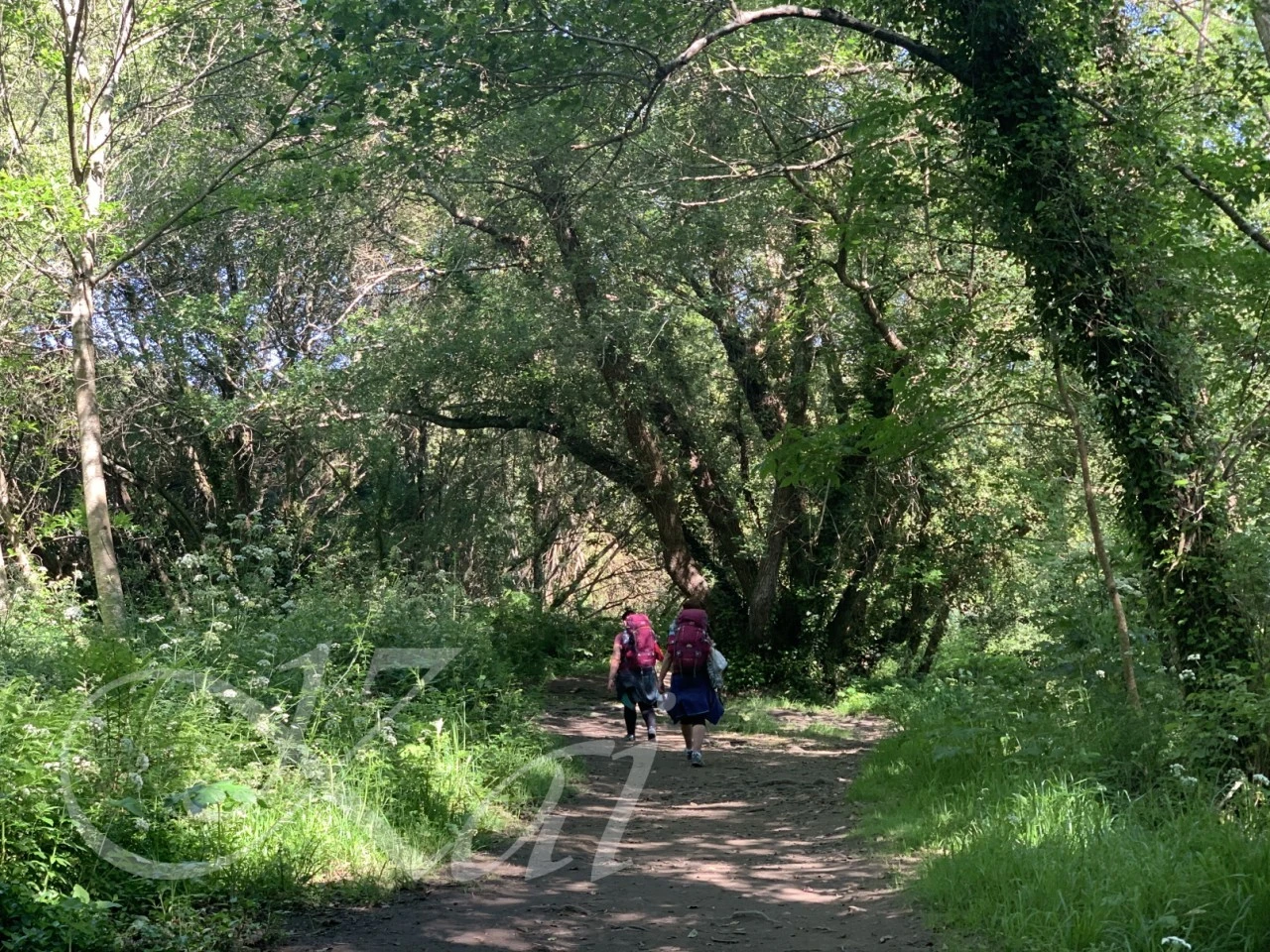 9_1d3Ud018svc474ec7q5mhw4_wocx9r.png?type=e1920_std