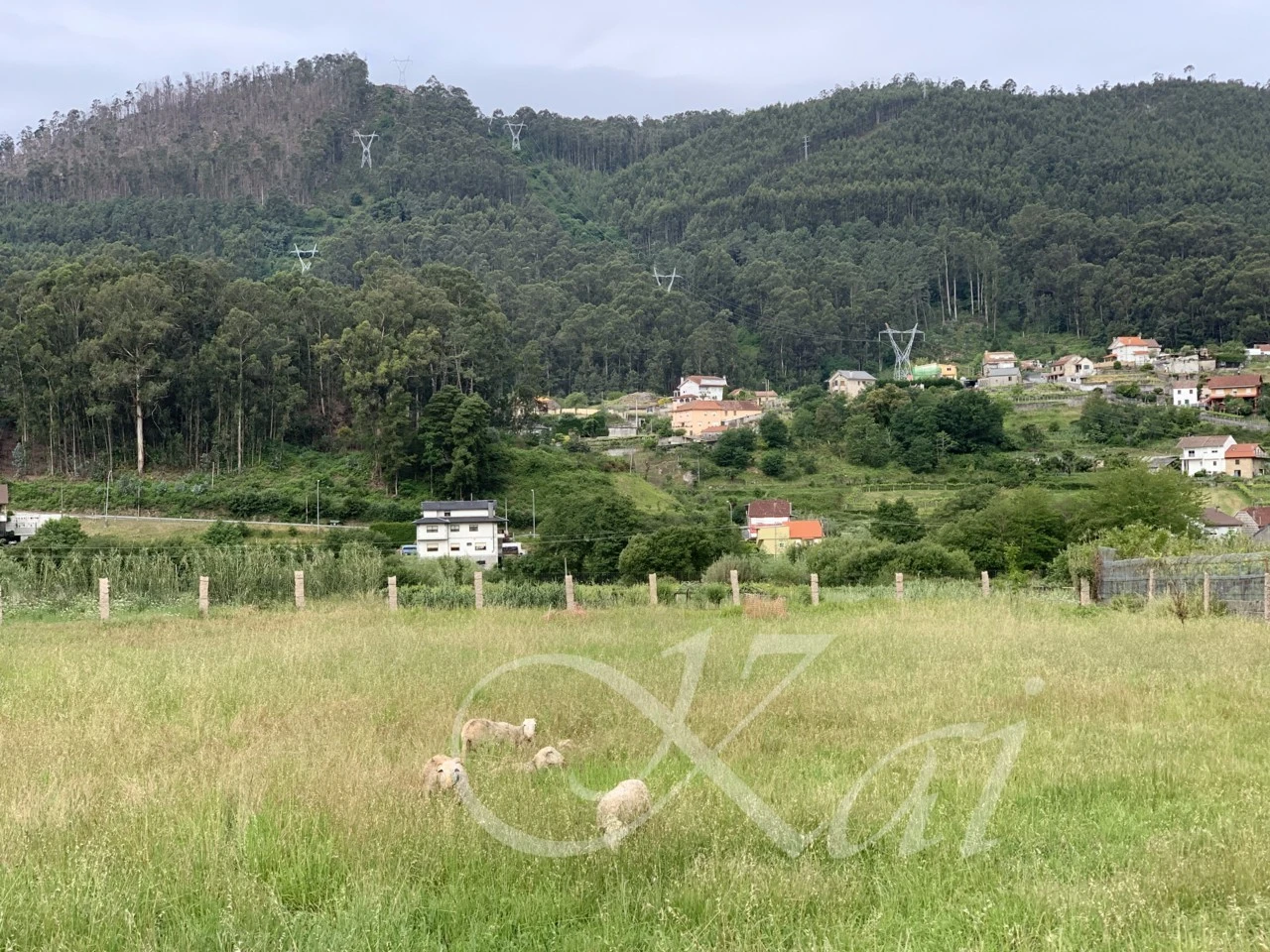 h_286Ud018svcilv3cqe77gd6_wocx9r.png?type=e1920_std