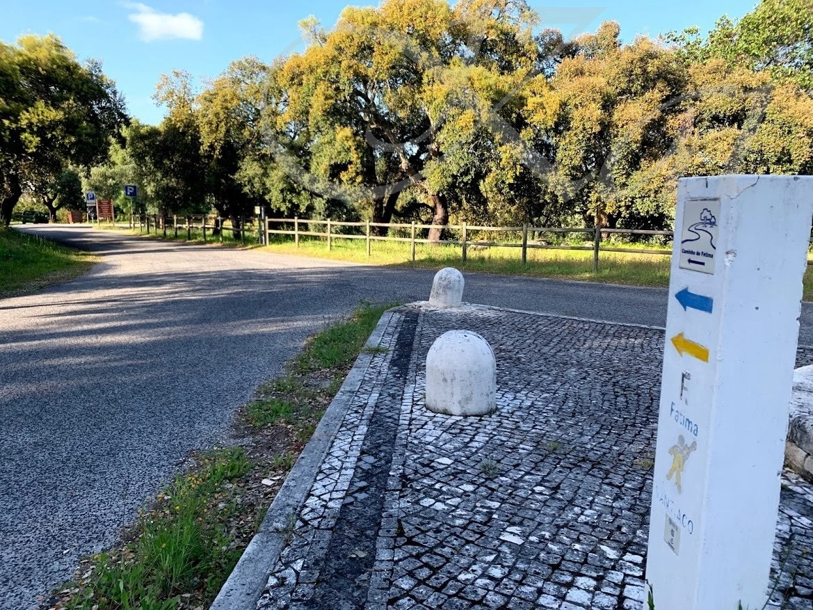 a_487Ud018svc1wvlcd30vy6uj_wocx9r.jpg?type=e1920_std