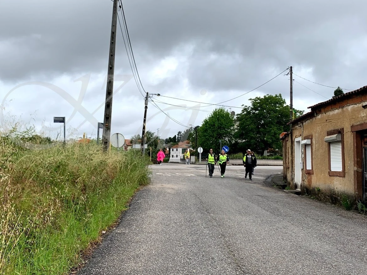 g_1fiUd018svc1fn5j1t9m0tzl_wocx9r.jpg?type=e1920_std