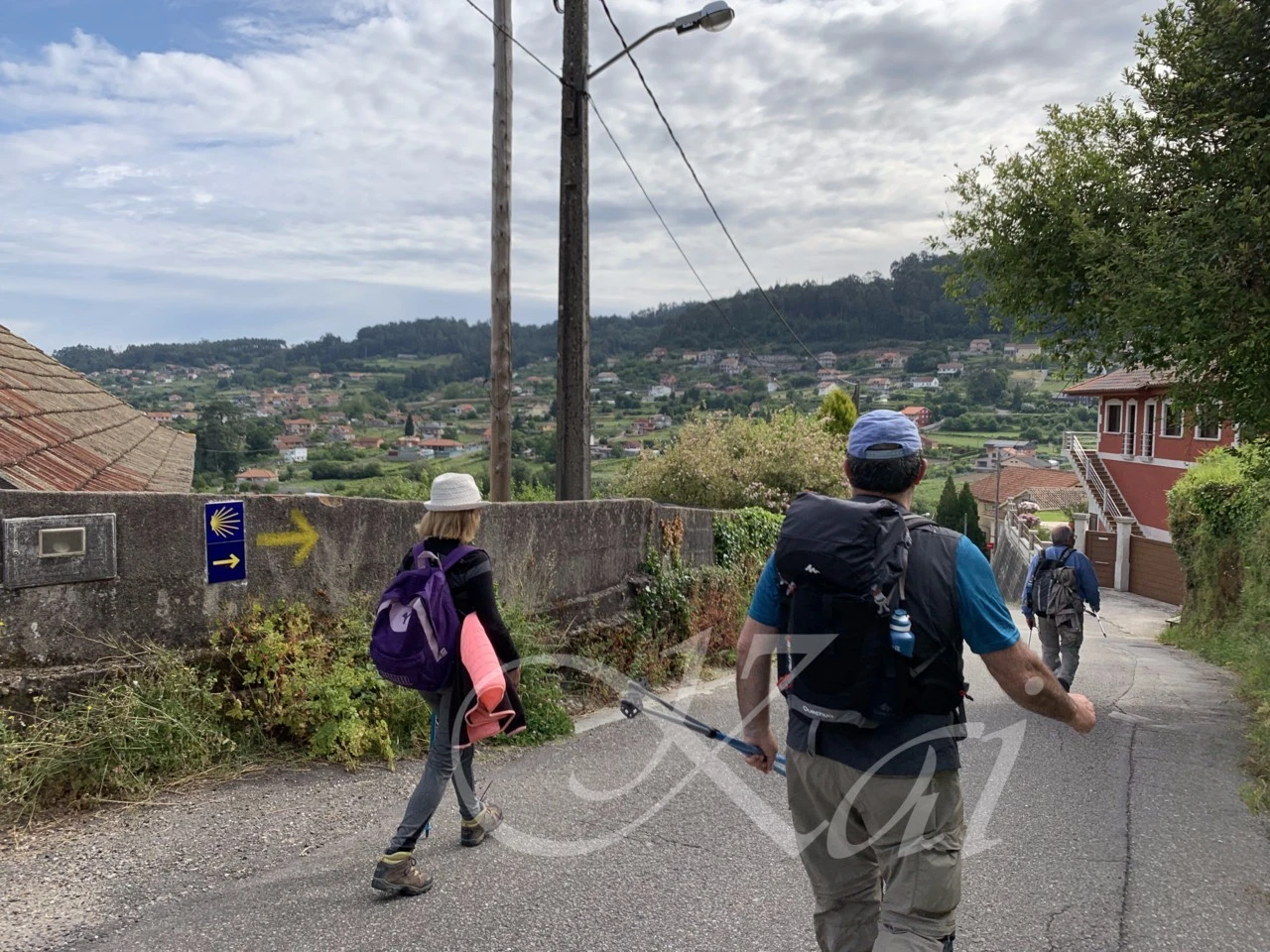 f_586Ud018svc17k2mnalvqn6j_wocx9r.png?type=e1920_std