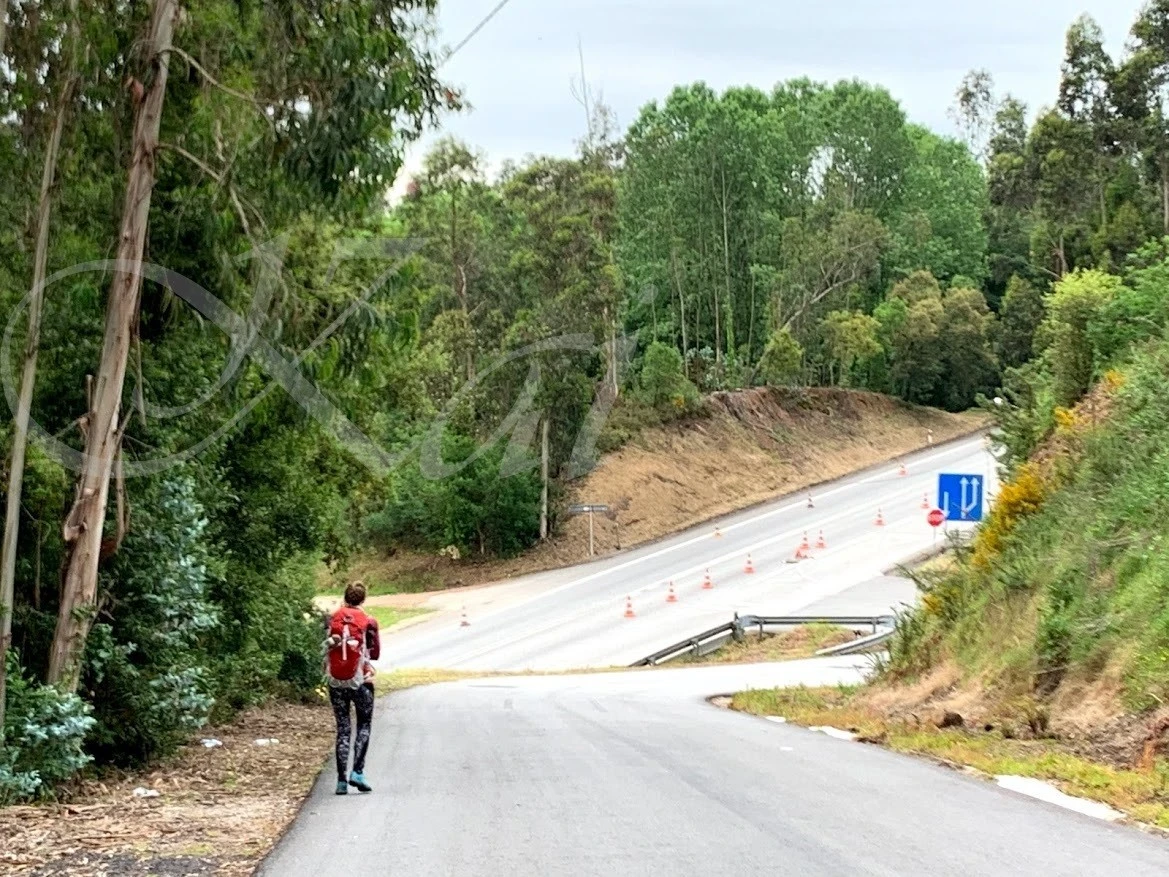 j_434Ud018svc17v2de0if5e6d_wocx9r.jpg?type=e1920_std