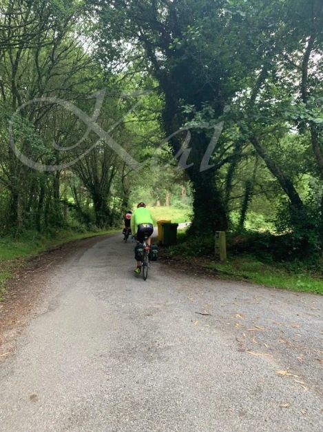 g_11hUd018svc1rqirj9865r75_wocx9r.jpg?type=e1920_std