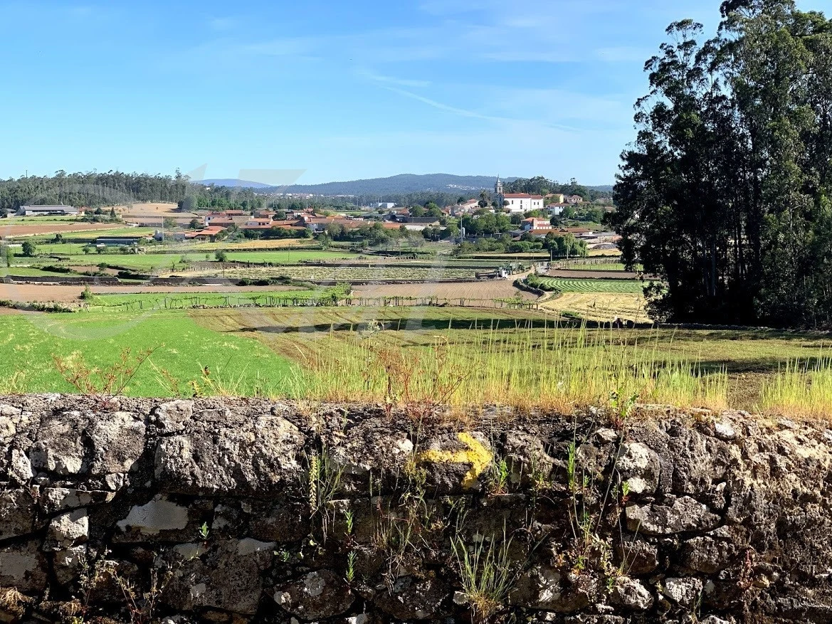 8_265Ud018svcm362kl6xd51p_wocx9r.jpg?type=e1920_std