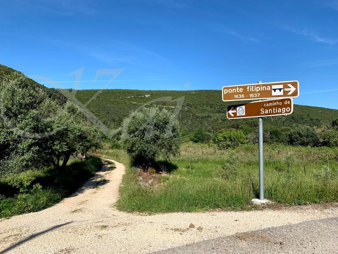 2_64jUd018svc1wxuxo41w0y9j_wocx9r.jpg?type=e1920_std