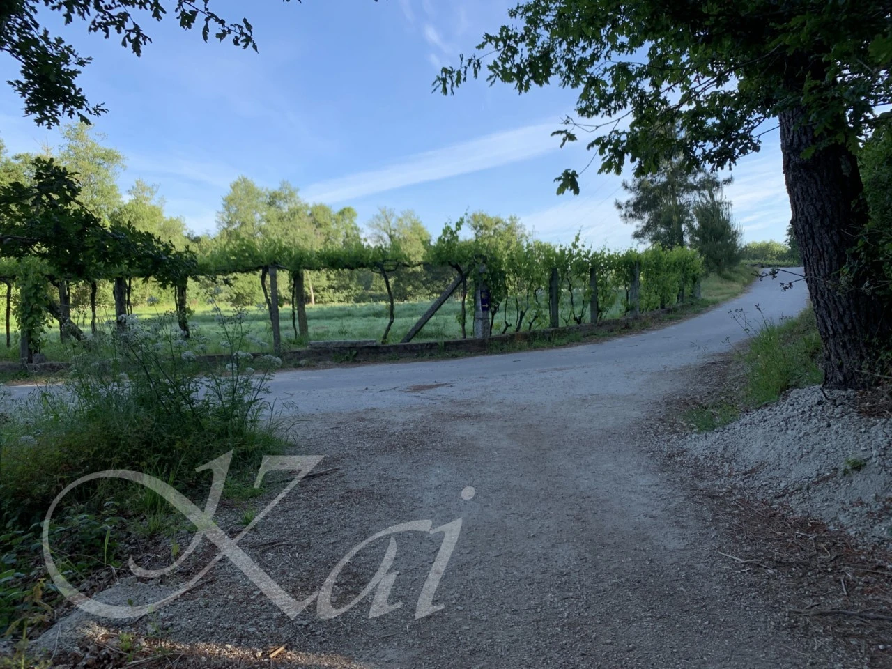 8_9geUd018svc15mrtqvfu66bh_wocx9r.png?type=e1920_std