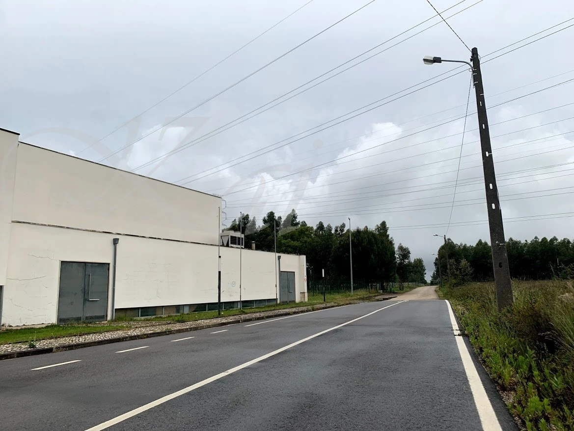 b_2fiUd018svc74cuyrfizxay_wocx9r.jpg?type=e1920_std