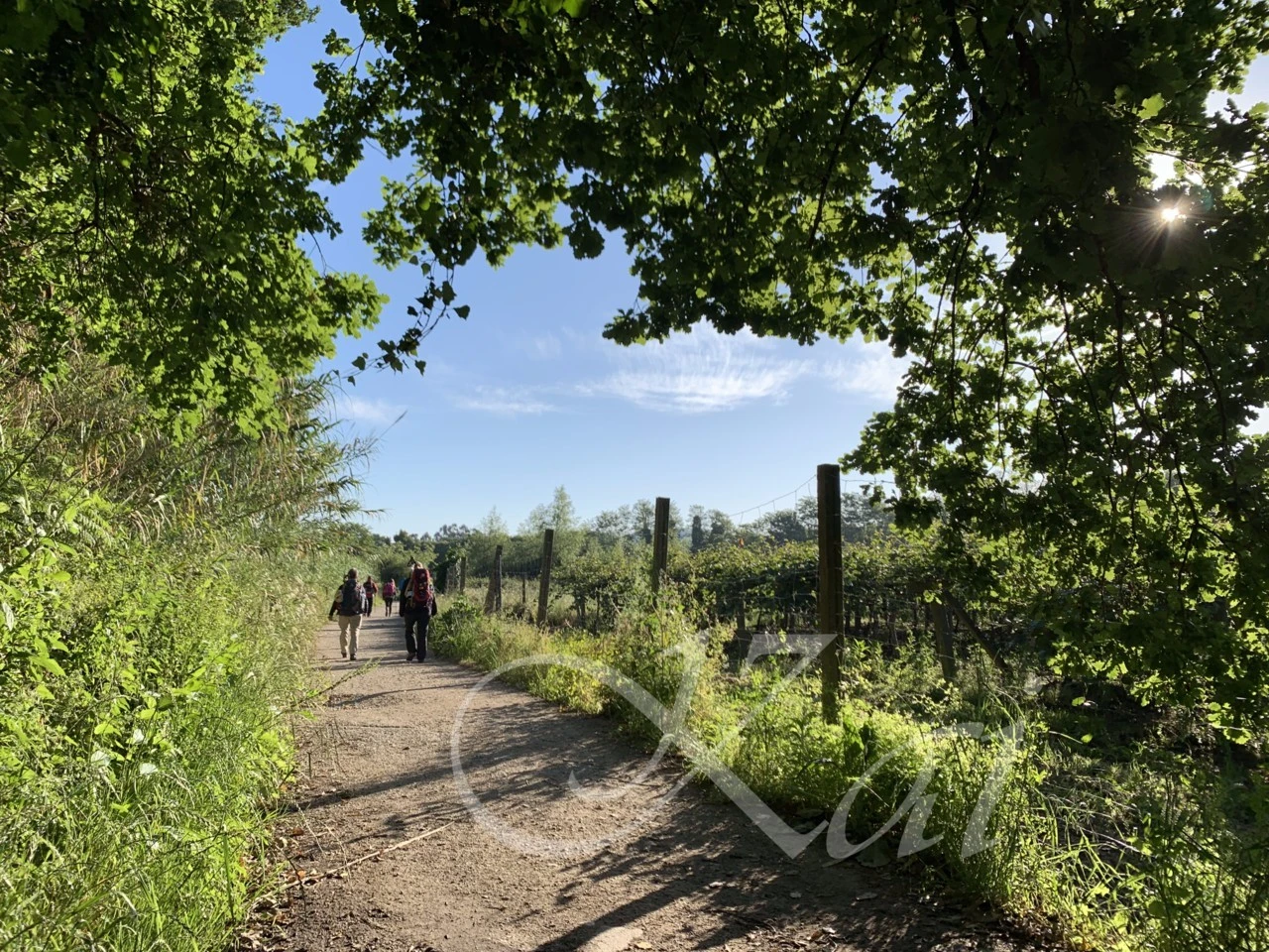 8_e9cUd018svc1r4taalp2ot7h_wocx9r.png?type=e1920_std