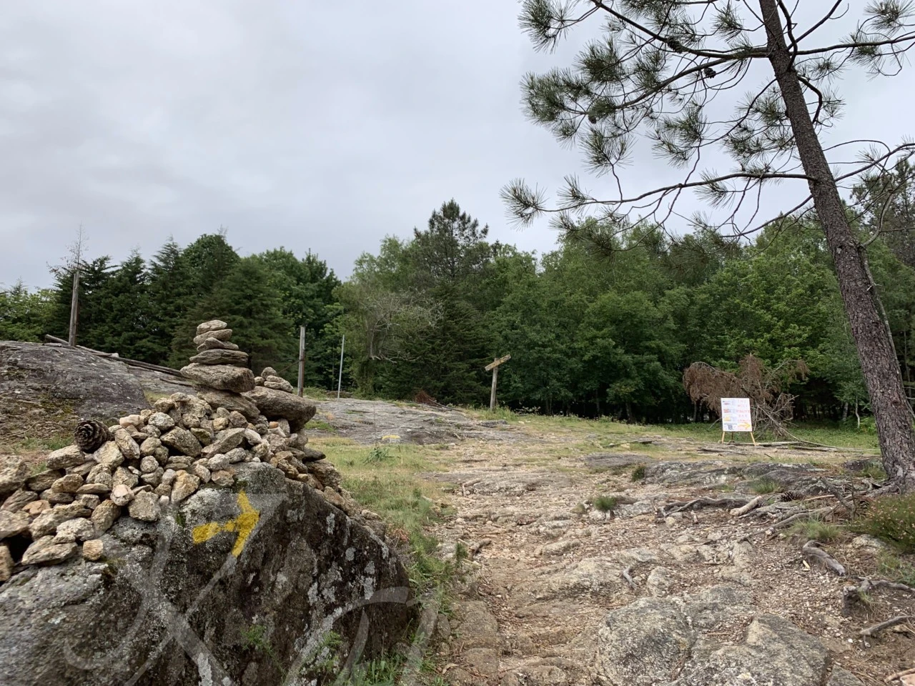 6_i5aUd018svckh1rm4d1j1s1_wocx9r.png?type=e1920_std