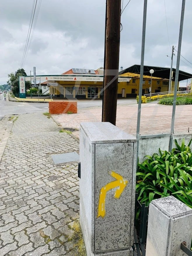 3_j8dUd018svc13wblo1mzzvi6_wocx9r.jpg?type=e1920_std