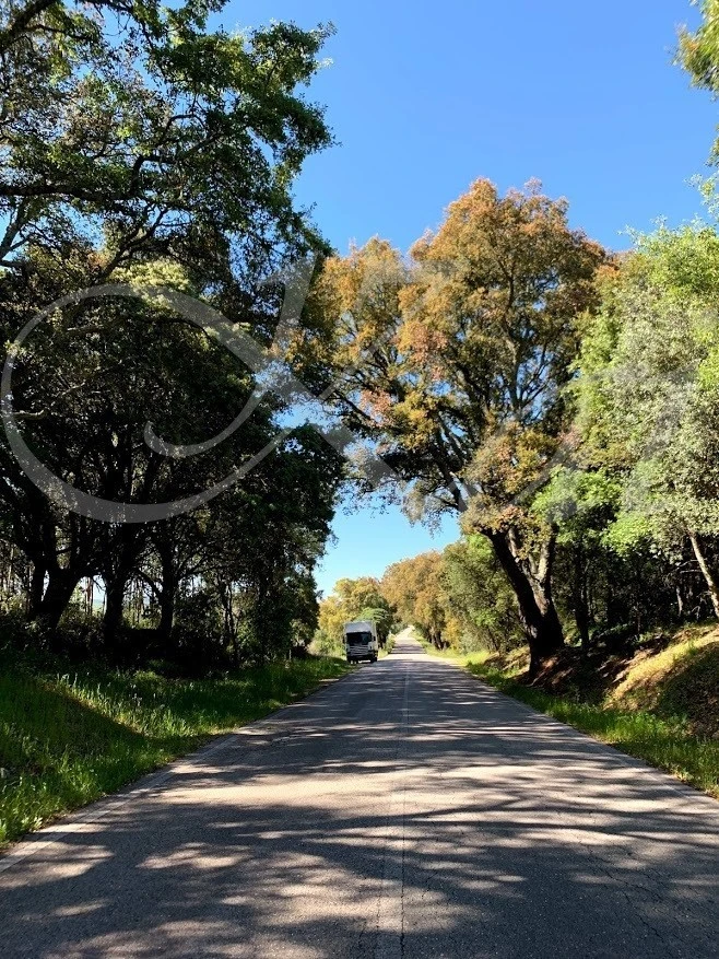 h_5c7Ud018svc1wpyiopot4z56_wocx9r.jpg?type=e1920_std