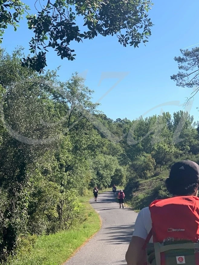 d_ec7Ud018svcoe303zx1g7wi_wocx9r.jpg?type=e1920_std