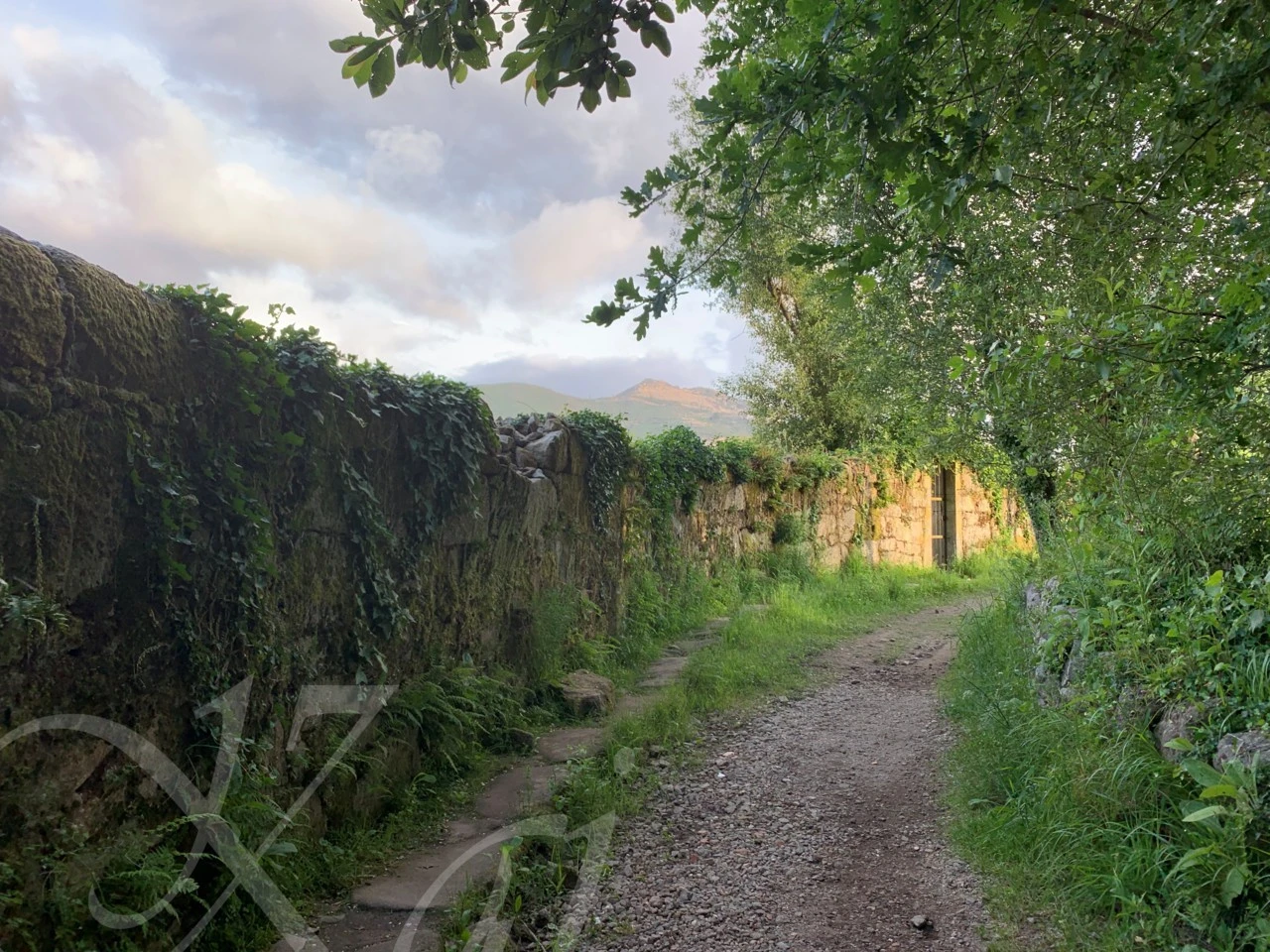 9_455Ud018svc6x23gcpvcob9_wocx9r.png?type=e1920_std