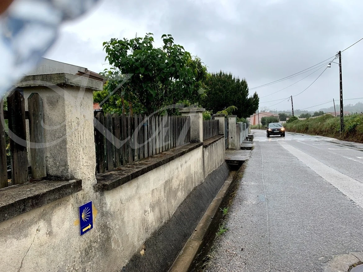 2_j8dUd018svctbom5new3hve_wocx9r.jpg?type=e1920_std