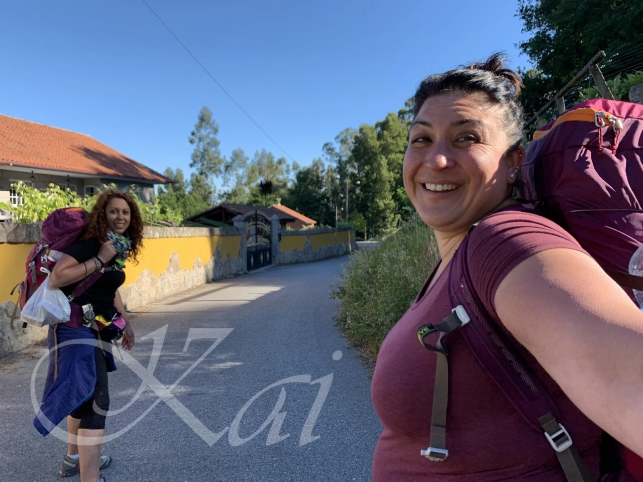 1_6d3Ud018svc155mjn8nhnc5q_wocx9r.png?type=e1920_std