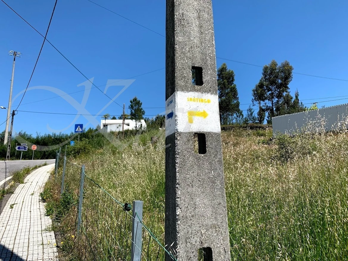 1_hi1Ud018svcyca9j9lqqxep_wocx9r.jpg?type=e1920_std