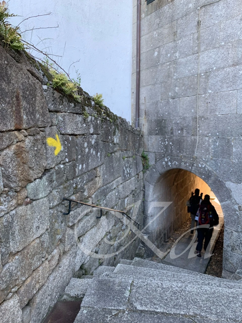 3_f9cUd018svc21cpltqeh5hw_wocx9r.png?type=e1920_std