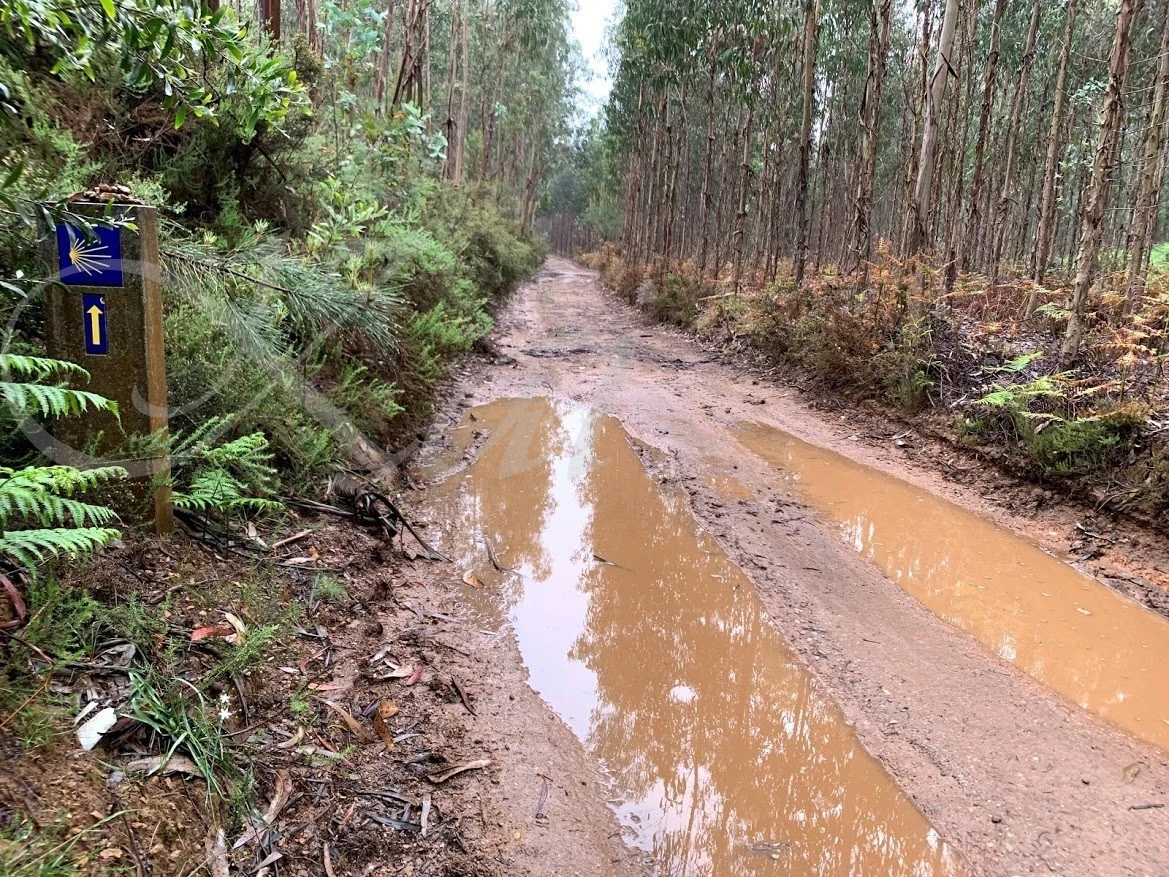 d_j2dUd018svc11u8a65c22r6p_wocx9r.jpg?type=e1920_std