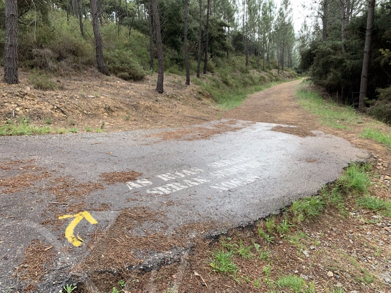 c_357Ud018svcsgl0n8ufkt27_wocx9r.png?type=e1920_std