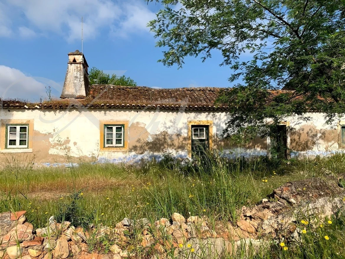 j_e04Ud018svc6q3nfgifn9ra_wocx9r.jpg?type=e1920_std