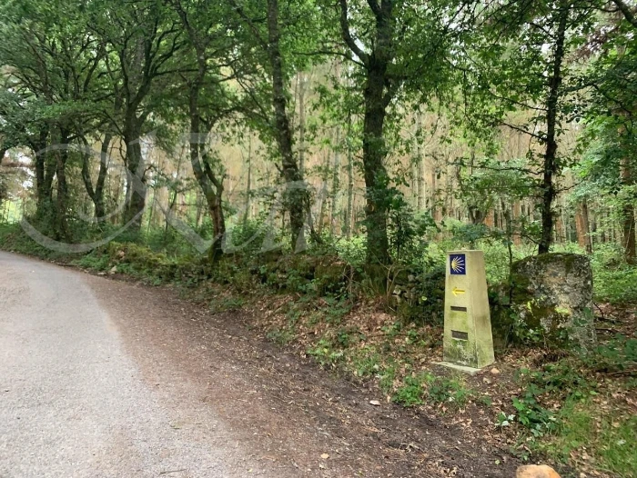 6_h1iUd018svcv1ssbju4lxcx_wocx9r.jpg?type=e1920_std