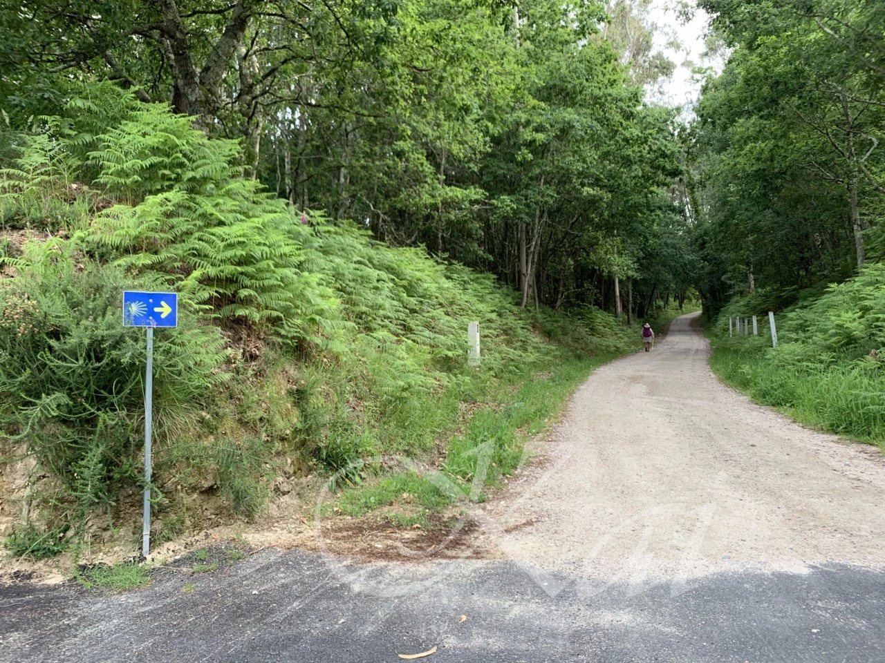 6_186Ud018svck8c6pqnw7t4c_wocx9r.png?type=e1920_std