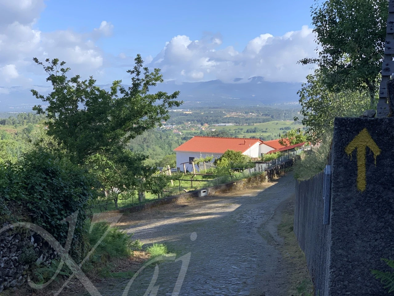 i_1edUd018svc8wyvk1md8yea_wocx9r.png?type=e1920_std