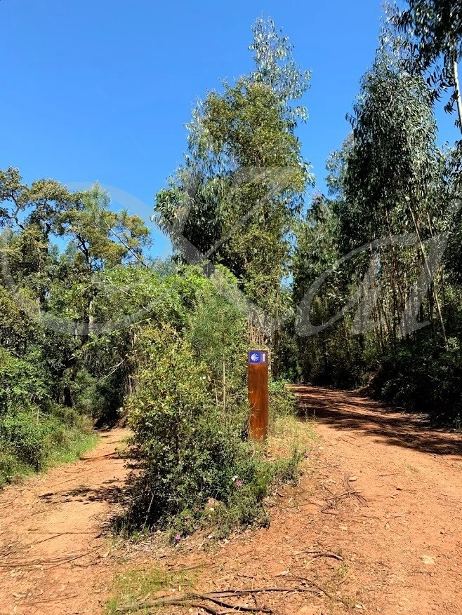 g_1c7Ud018svc1w7vg2i743p25_wocx9r.jpg?type=e1920_std