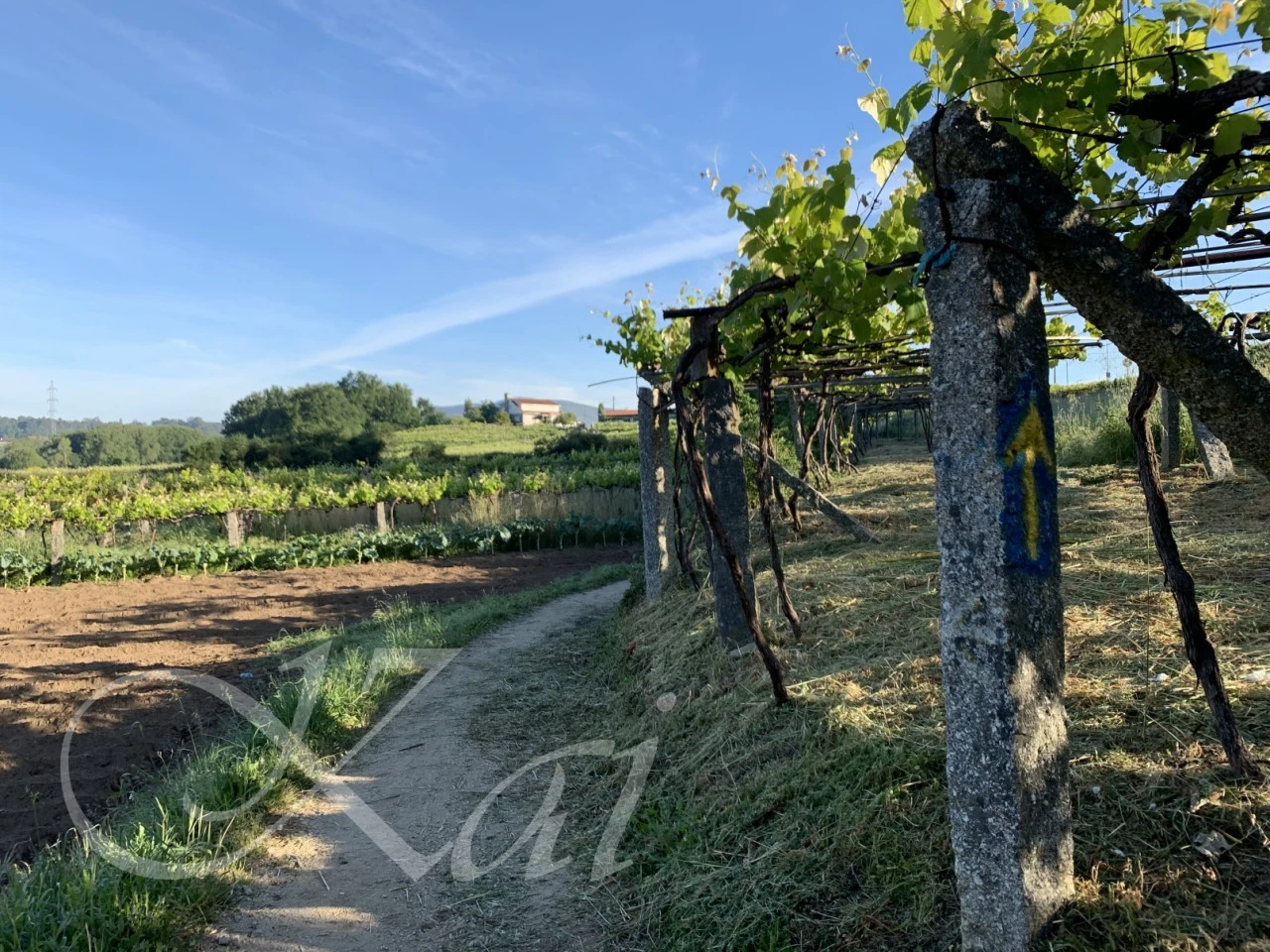 4_9geUd018svc16mp80e8jdpyp_wocx9r.png?type=e1920_std