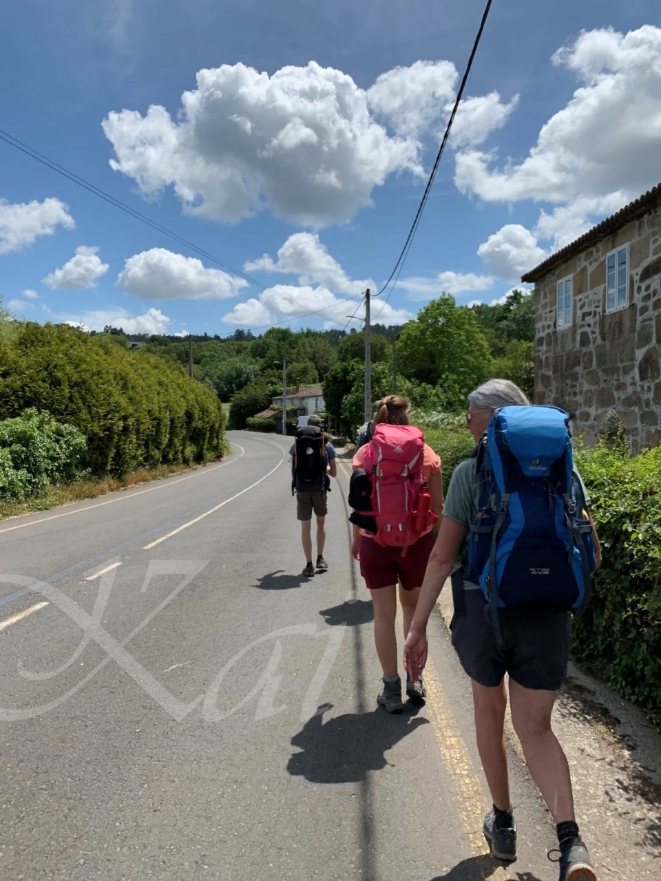 g_c6cUd018svca5skybuqp7ol_wocx9r.jpg?type=e1920_std