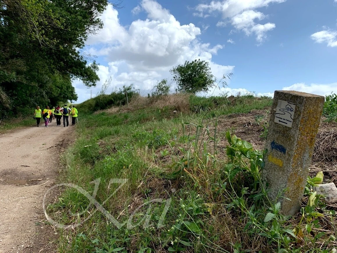 GciBxJvpBXuMSMputeT-Hzdwwl8