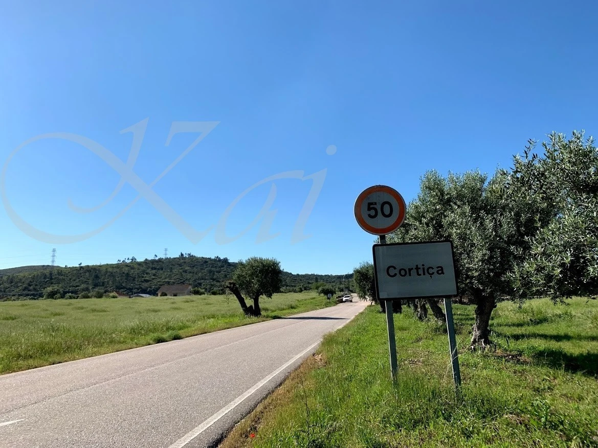 h_dc7Ud018svc6a0iz14lbg7i_wocx9r.jpg?type=e1920_std