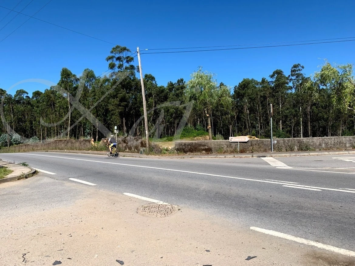 8_h65Ud018svcek1x3hcdlwus_wocx9r.jpg?type=e1920_std