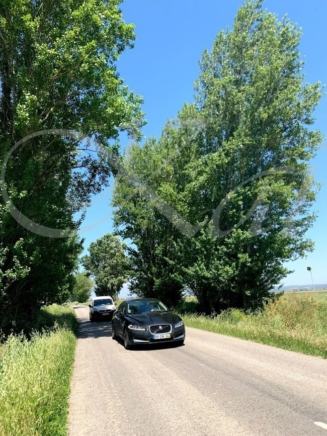 2_1c0Ud018svc7ikcqcq5y08f_wocx9r.jpg?type=e1920_std