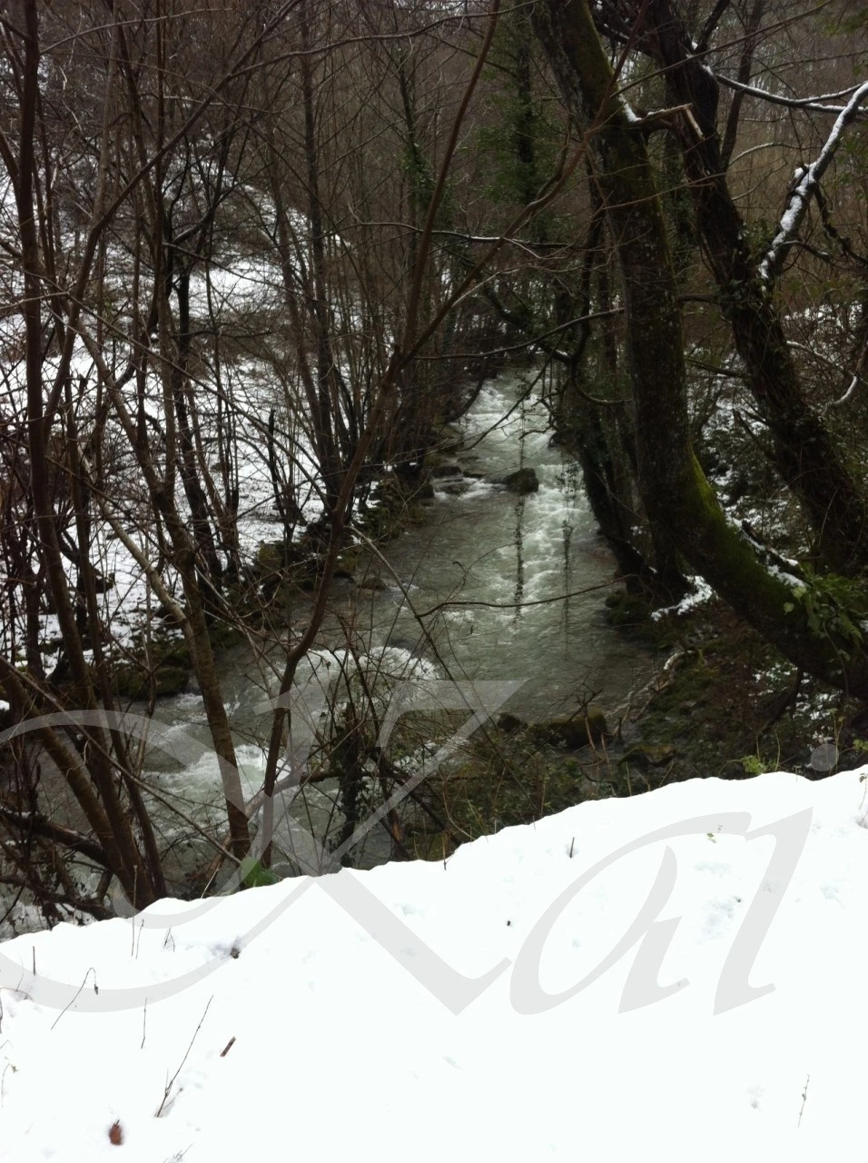 b_ijhUd018svctv9dwwa6bzkk_wocx9r.jpg?type=e1920_std