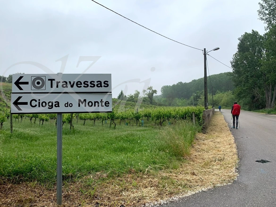 j_d8cUd018svc1noeuys271vzv_wocx9r.jpg?type=e1920_std