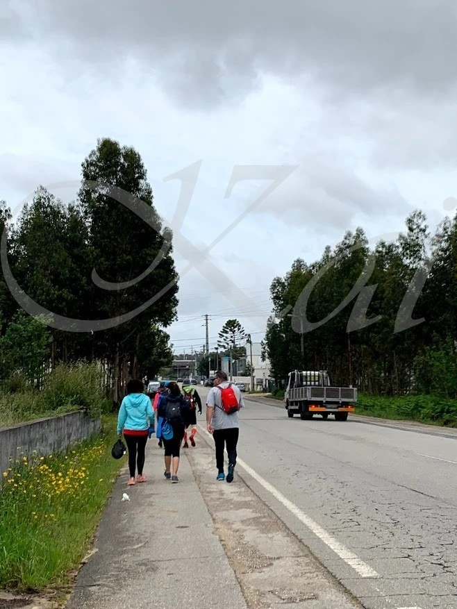 h_9fiUd018svcll8szzrrg525_wocx9r.jpg?type=e1920_std