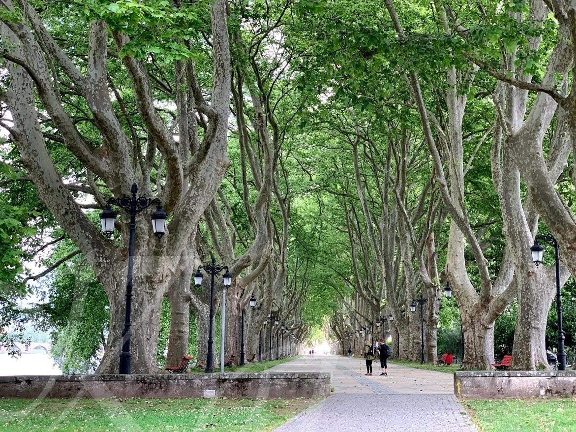 f_fdaUd018svctacbs2lt6w5j_wocx9r.jpg?type=e1920_std