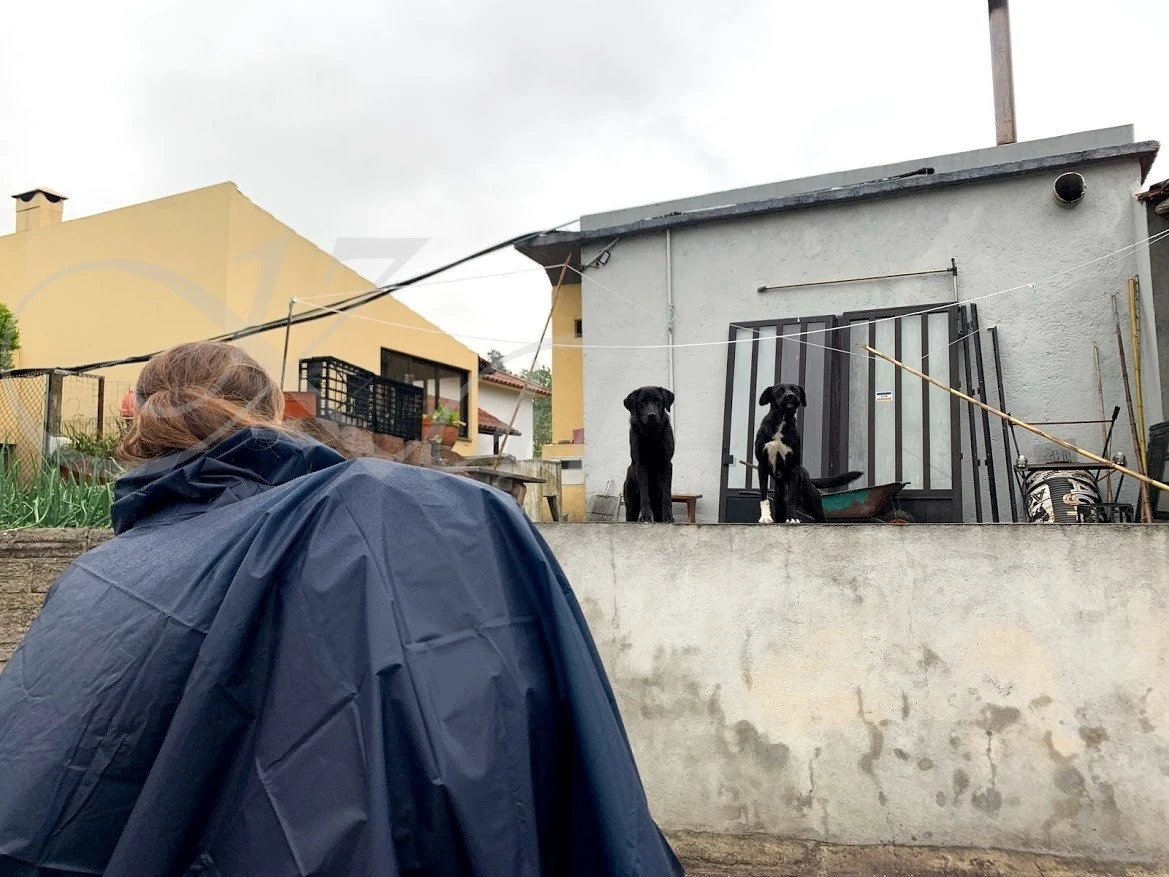 0_18dUd018svc1kyxssncyumij_wocx9r.jpg?type=e1920_std