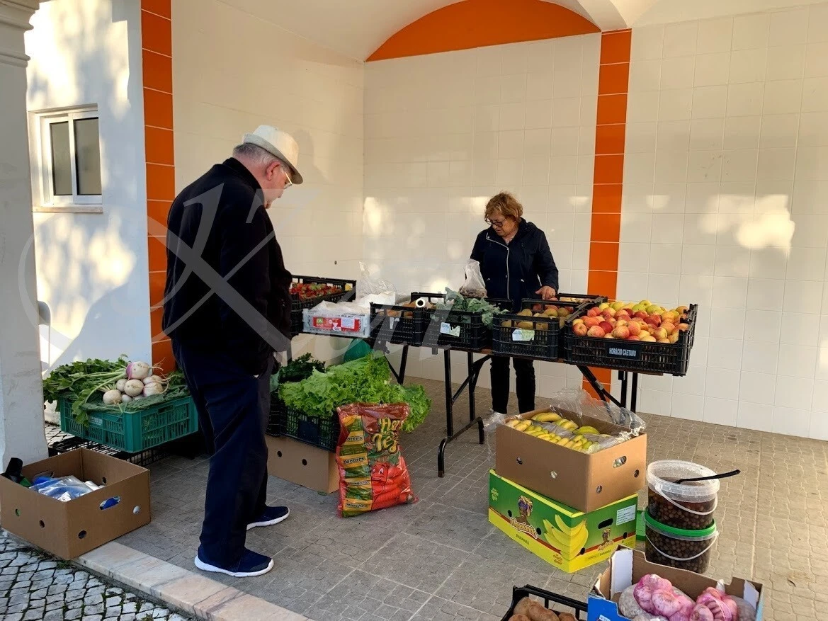 zamho1IO1UQ5M_DYkphmvg-TdEo