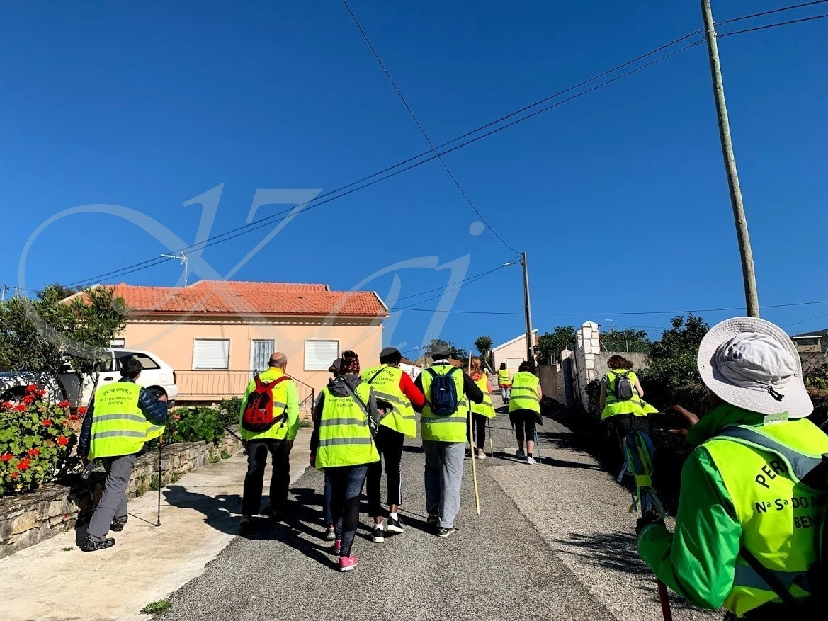 MtK1WCJX9TAjBIpheNGBOYFeK9c