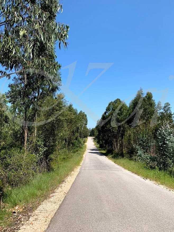 2_e05Ud018svc11mlepjilq2mm_wocx9r.jpg?type=e1920_std