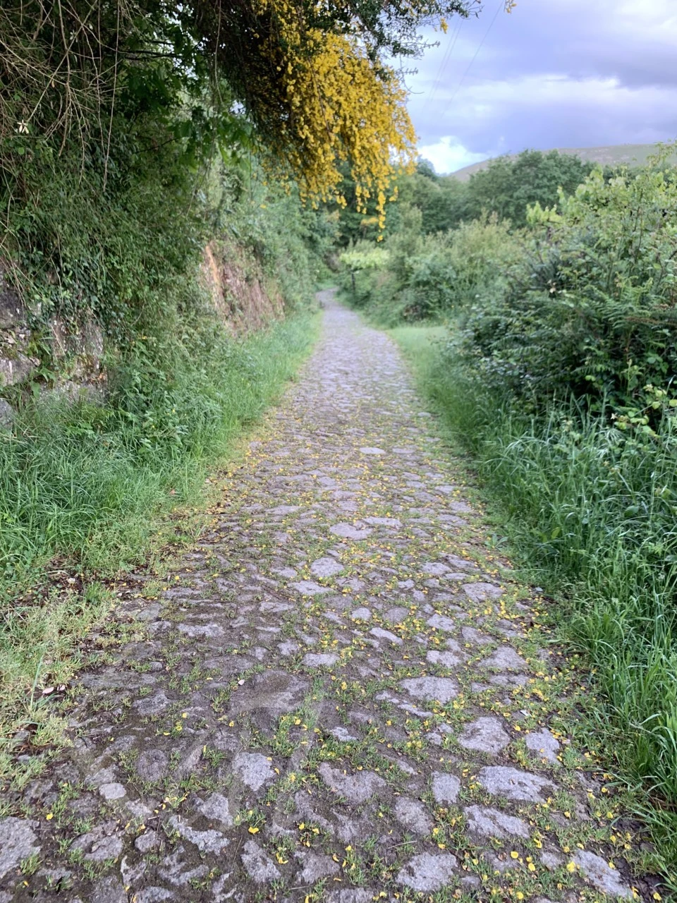 8_8ebUd018svc1i0pd6xwz34ib_wocx9r.png?type=e1920_std